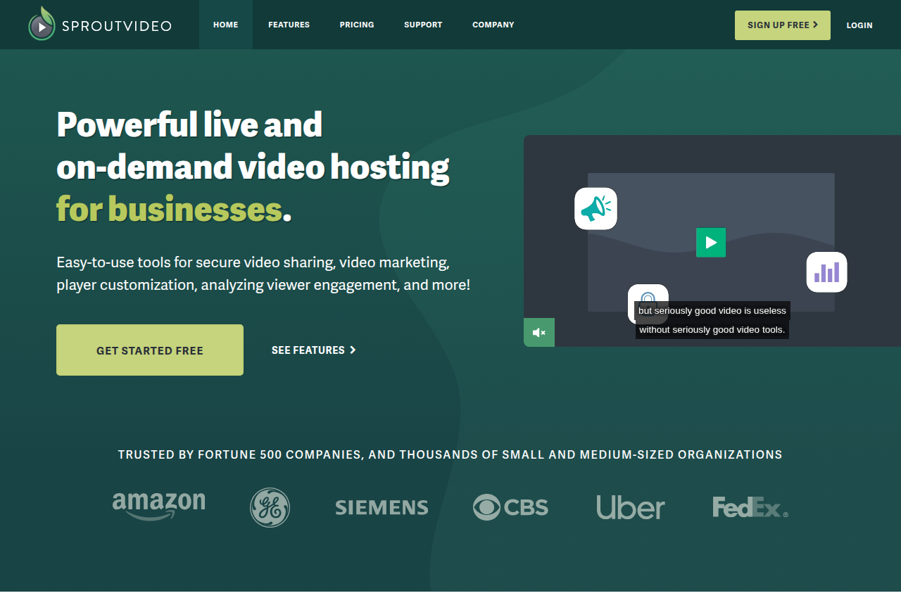 SproutVideo homepage, showing its professional and private video hosting platform for businesses